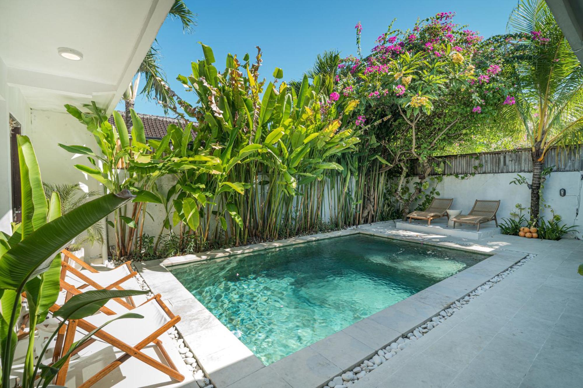 Lemone By Bali Solutions